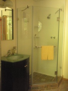 tt glass shower (2)